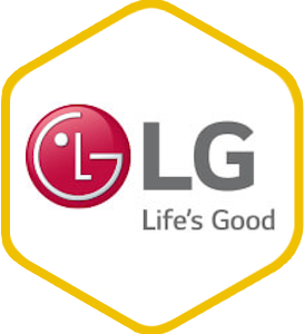 LG Solar (Logo)